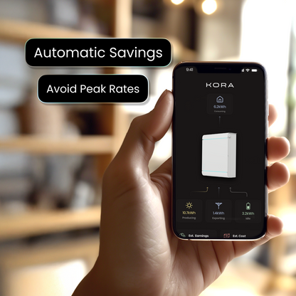 Founders Edition Home Energy System